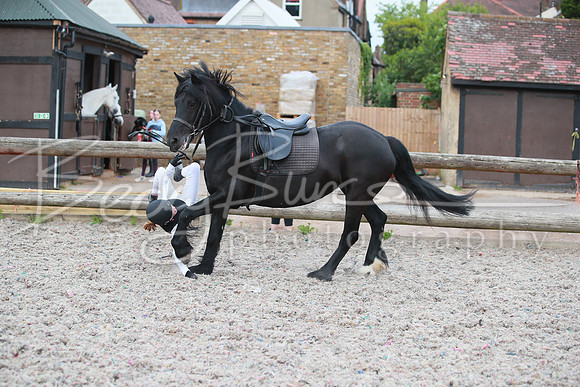 BBP_6855