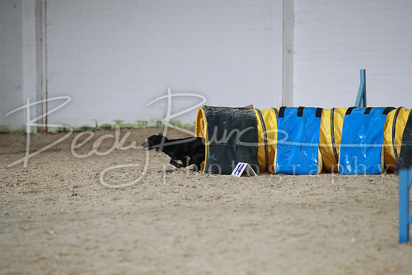 TBP_0248