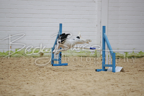 BBP_5954