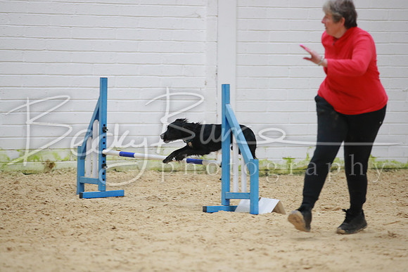 BBP_5595