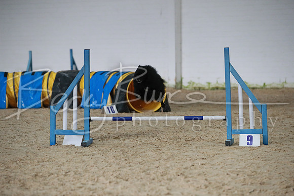 TBP_0220