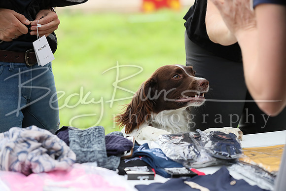 BBP_0489
