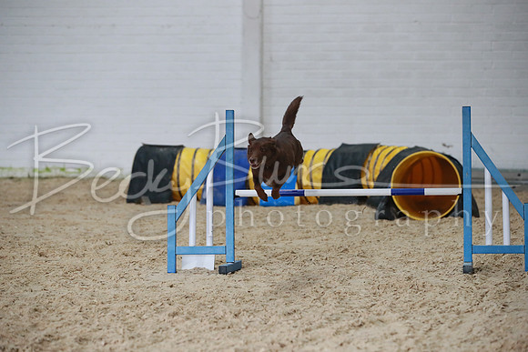 TBP_0693