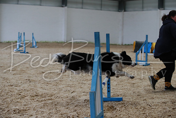 TBP_3097