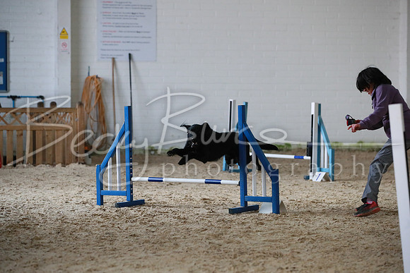 TBP_0233