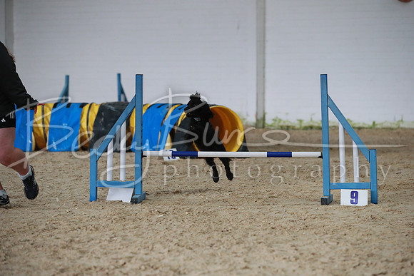 TBP_0362