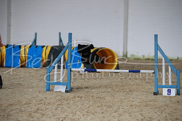 TBP_0381