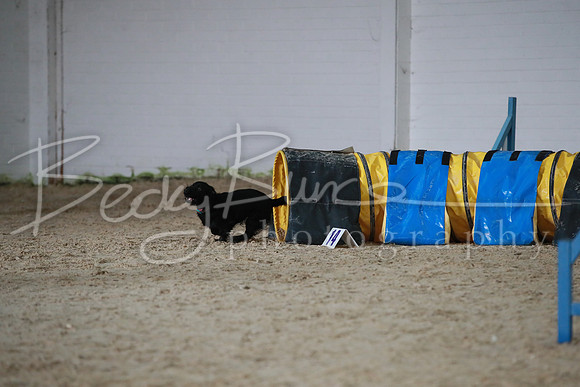 TBP_0356