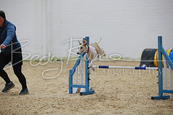 BBP_4314