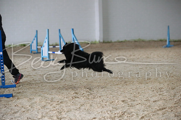 TBP_0225